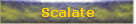 Scalate